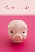 A lucky pink pig and the words Good Luck