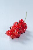 Redcurrants