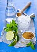 Ingredients for mojito (brown sugar, limes, mint, rum, crushed ice)