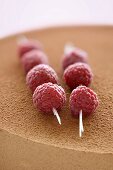 Skewered raspberries decorating a chocolate mousse cake