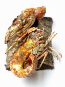 Grilled spiny lobsters