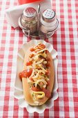 Hot dog with ketchup and onions, salt and pepper shakers