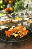 Barbecue: grilled crayfish with lime oil