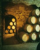 Barrel cellar of Marques de Riscal Estate, Elciego, Rioja, Spain