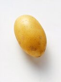 A Potato