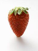 A Strawberry