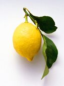 A Lemon with Leaves