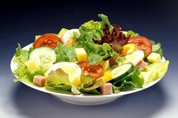 Chefsalat mit Gemüse, Käse, Schinken und Ei