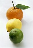 Limette, Zitrone und Orange