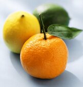 An Orange with a Lemon and a Lime