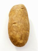 A Russet Potato