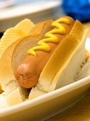 A Hot Dog in a Bun with Mustard on a Plate