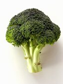 A Head of Broccoli