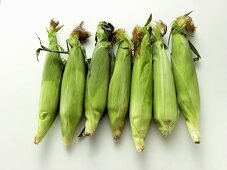 Seven Ears of Corn