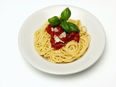 Spaghetti mit Tomatensauce, Basilikum und Parmesan
