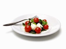 Mozzarella with tomatoes and basil
