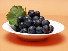 Concord Grapes in a Bowl