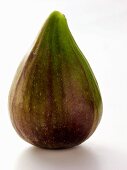 One Fig