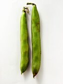 Two Broad Beans