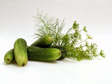 Einlegegurken mit Dill