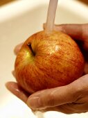 Braeburn Apple Being Washed