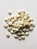 White Lima Beans