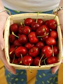 Holding a Box of Bing Cherries