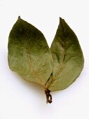 Two Bay Leaves
