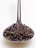 Spoonful of Dried Lavender