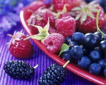 Freshly picked berries (close-up)