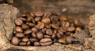 Kaffeebohnen auf Holz