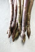 Freshly washed purple asparagus