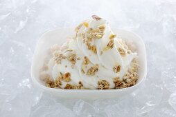 Yogurt ice cream garnished with muesli