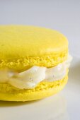 Macaroon with vanilla cream (close up)