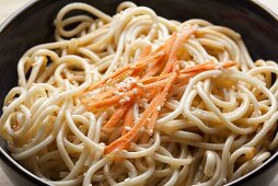 Cold Sesame Noodles with Carrot Sticks