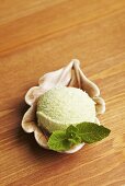 A scoop of peppermint ice cream with fresh mint