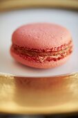 A Single Macaroon on a Gold and White Plate