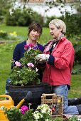 Two women planting up containers in garden