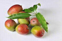 Mangos with leaves