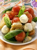 Bread salad with tomatoes, mozzarella and basil