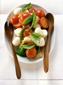Brotsalat mit Tomaten, Mozzarella, Basilikum; Salatbesteck
