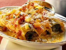 Cannelloni mit Gemüsesauce und Parmesan