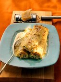 Cannelloni with cheese sauce; parmesan