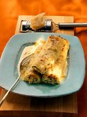 Cannelloni mit Käsesauce; Parmesan