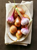 Shallots and garlic on plate
