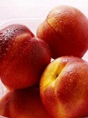 Nectarines with drops of water in plastic container