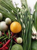 Asiatisches Gemüsestillleben mit Kräutern und Chilischoten