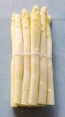 A bundle of white asparagus on a blue background