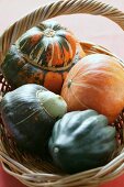 Various squashes in basket