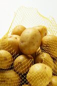 Yukon Gold potatoes in net